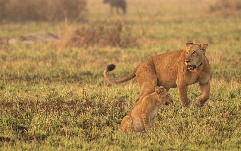 Big Five